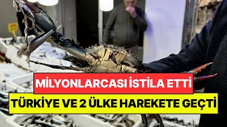 Karadeniz'i Milyonlarcası İstila Etti: Türkiye ve 2 Ülke Harekete Geçti