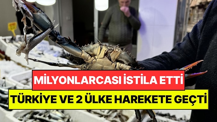 Karadeniz'i Milyonlarcası İstila Etti: Türkiye ve 2 Ülke Harekete Geçti
