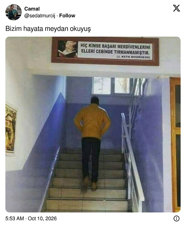 👇