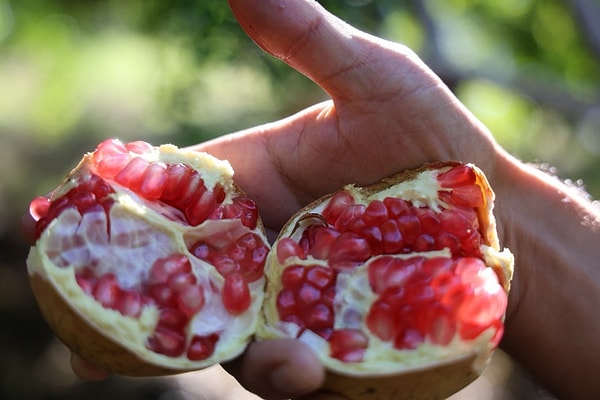 İnce kabuğu, iri taneleri ve farklı aromasıyla dikkat çeken Kuytucak narı, bölgeye özgü bir lezzet sunuyor.