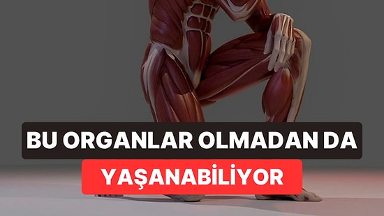 Vücudumuzun Aslında İhtiyaç Duymadığı 6 Parça: Bazılarımız Onlarsız Doğuyor