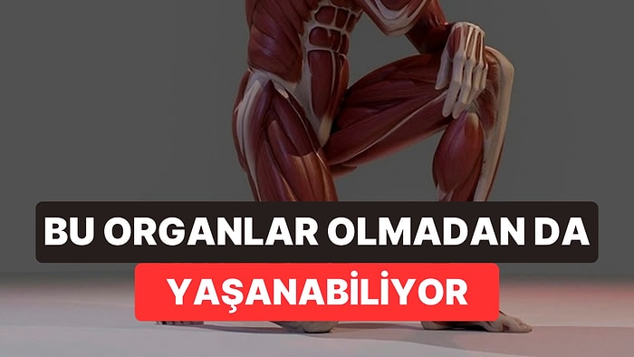 Vücudumuzun Aslında İhtiyaç Duymadığı 6 Parça: Bazılarımız Onlarsız Doğuyor