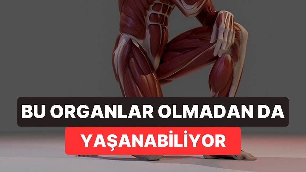 Vücudumuzun Aslında İhtiyaç Duymadığı 6 Parça: Bazılarımız Onlarsız Doğuyor