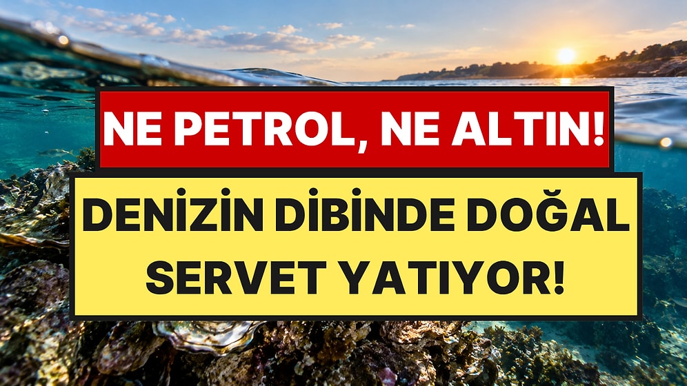 Ne Altın Ne Petrol Eline Su Dökemez: Suyun Altında Doğal Servet Yatıyor
