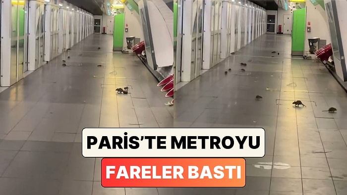 Fransa'nın Başkentindeki Chateau Rouge Metro İstasyonunu Fareler Bastı!