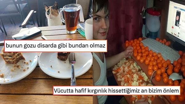 Flörte Gönderilen İlk Kedi Reelsinden Yanlış Kişiye Dedikodu Verme Acısına Son 24 Saatin Viral Tweetleri