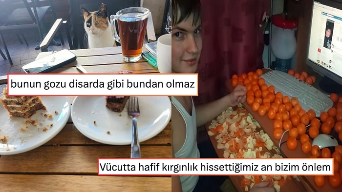 Flörte Gönderilen İlk Kedi Reelsinden Yanlış Kişiye Dedikodu Verme Acısına Son 24 Saatin Viral Tweetleri
