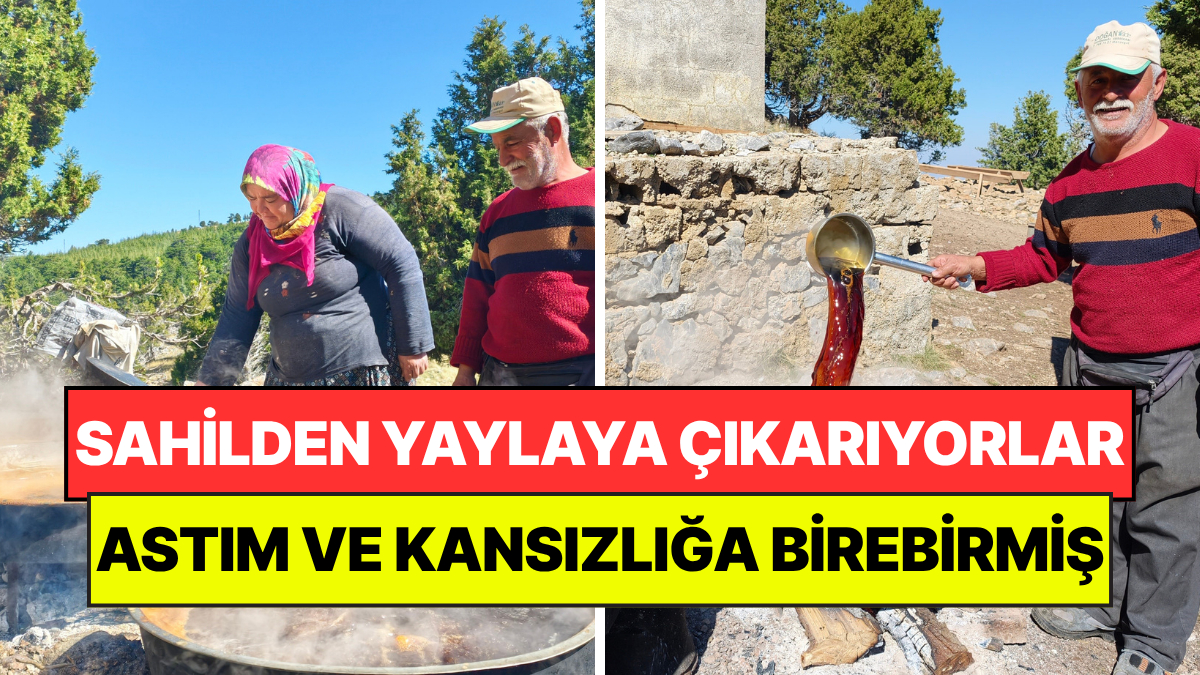 Astım, Bronşit ve Kansızlık İçin Birebirmiş: Sahilden Getirip 1800 Rakımda Kaynatıyorlar