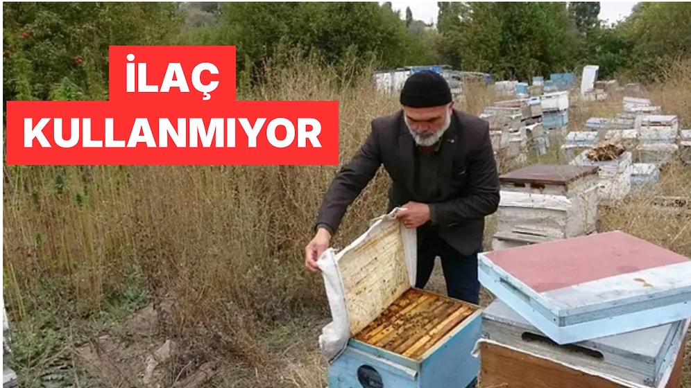 Yozgat'ta Kenevir Tarlasının Yanına Arılık Kuran Arıcı Kenevir Balı Üretti