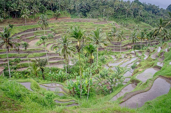 İkinci sırada Bali var.