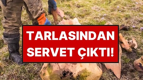 Yıllardır Kimsenin Dikkatini Çekmeyen Yerde Servet Buldu