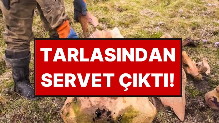 Yıllardır Kimsenin Dikkatini Çekmeyen Yerde Servet Buldu
