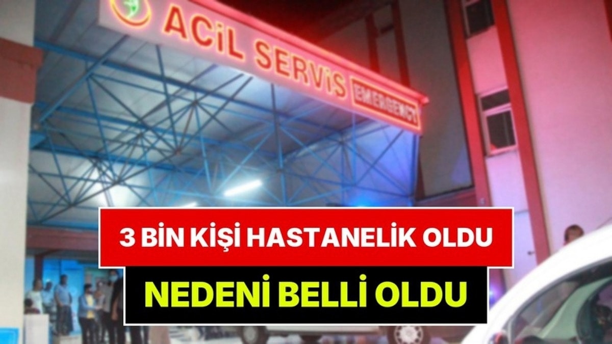 3 Bin Kişi Hastanelik Oldu: Tokat'taki Salgının Nedeni Belli Oldu