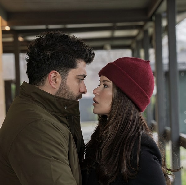 Boğa Burcu