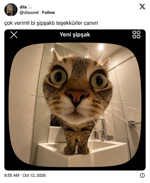 Kim kimi çekti?