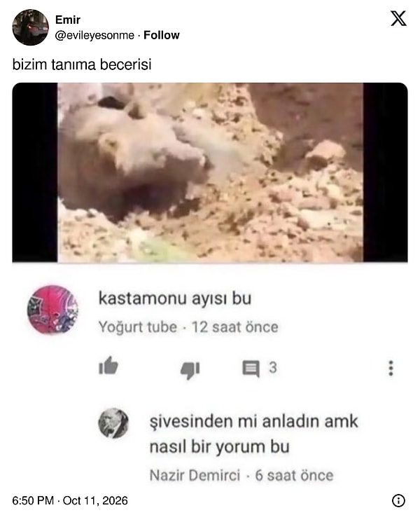 Zeka pırıltısı.