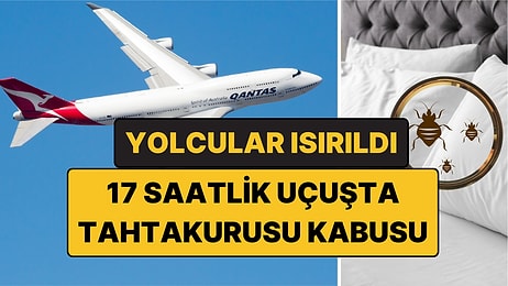 17 Saatlik Uçuşta Tahtakurusu Kabusu: Yolcular Isırıldı, İlaçlar Tükendi