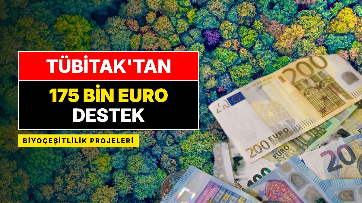 TÜBİTAK'tan Yeni Destek: Biyoçeşitlilik Projelerine 175 Bin Euroya Kadar Verilecek, Başvurular Başladı