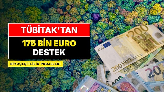 TÜBİTAK'tan Yeni Destek: Biyoçeşitlilik Projelerine 175 Bin Euroya Kadar Verilecek, Başvurular Başladı