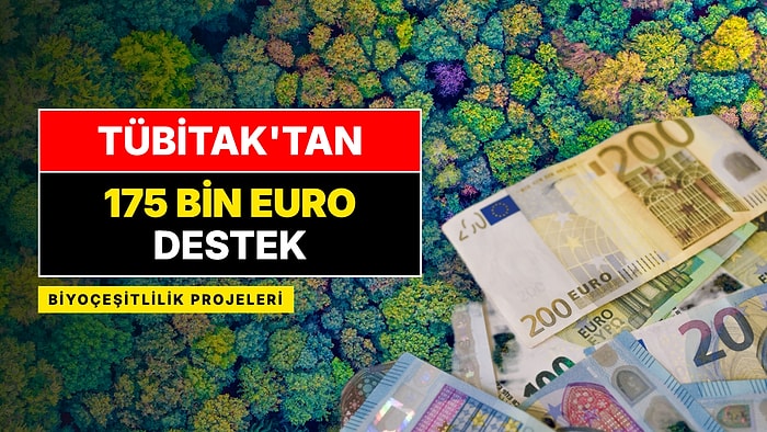 TÜBİTAK'tan Yeni Destek: Biyoçeşitlilik Projelerine 175 Bin Euroya Kadar Verilecek, Başvurular Başladı
