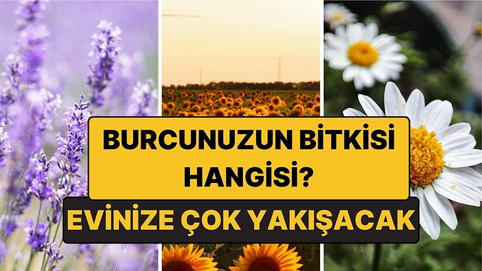 Burcunuza Göre Evinizde Hangi Bitki Olmalı?