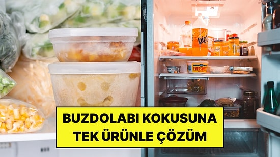Korelilerin Buzdolabındaki Kötü Kokular İçin Kullandığı Yöntem: Meğer Bir Dilim Yetiyormuş!