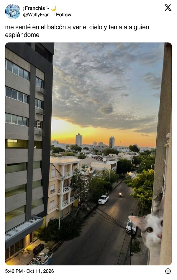 Balkon keyfini bozan beklenmedik gözlemci