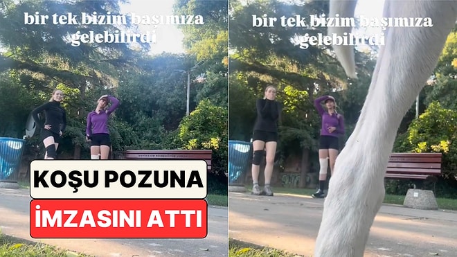 Ağacın Dibine Bıraktıkları Telefona Poz Veren İki Arkadaşın Fotoğrafına Bir Köpek Damgasını Vurdu