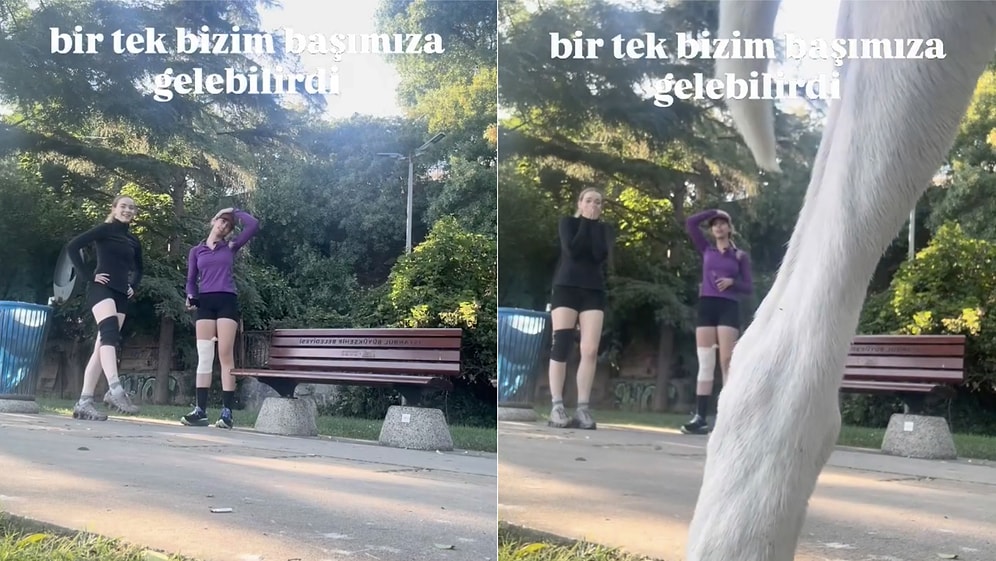 Two Women Filming Park Running Video Left Stunned as Dog Passes in Front of Camera
