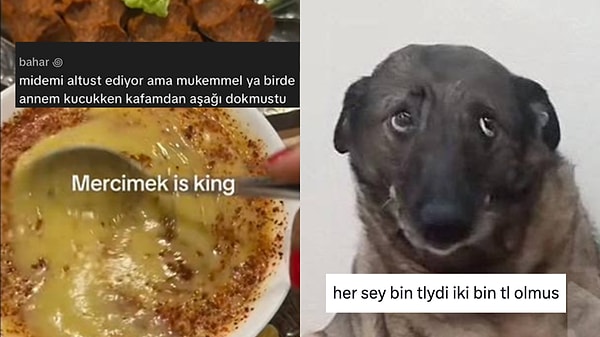 Son 24 Saatin Viral Tweetleri