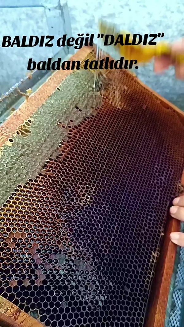 "Daldız"ın gerçekten baldan tatlı olmasının bir sebebi var.