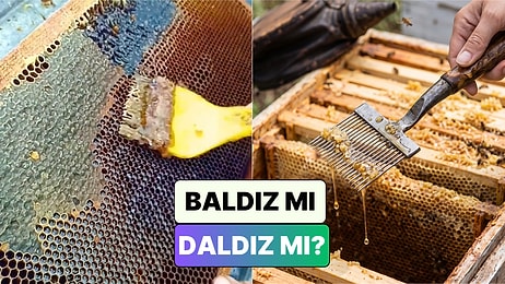 Bir Arıcı Baldız Baldan Tatlıdır Sözünün Doğrusunu Göstererek Anlattı