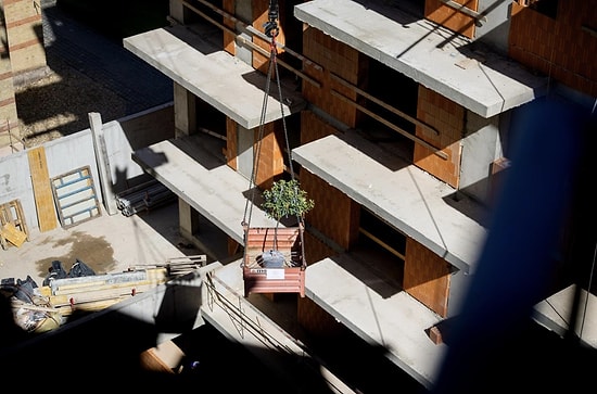 Bir Binanın En Tepesine Neden Ağaç Dikilir? Topping Out Geleneğinin Hikayesi