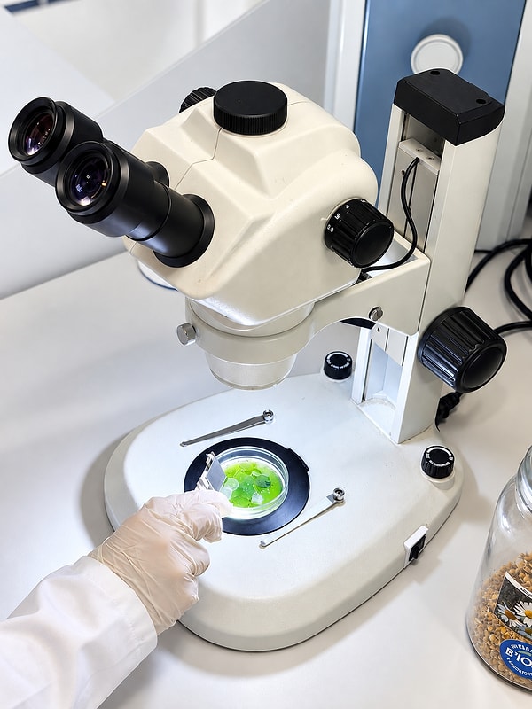 Dört aylık dermatolojik çalışmada dikkat çeken sonuç