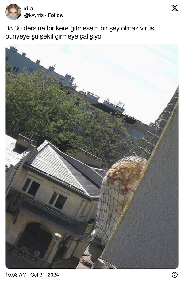 Virüs bünyede.