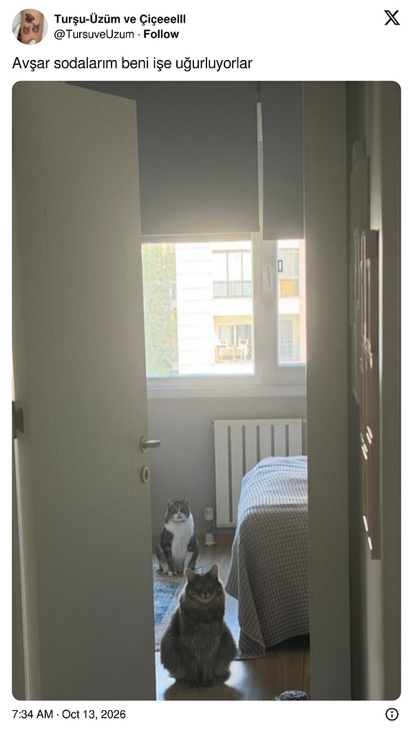 Çok iyi benzetme!