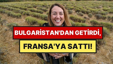 Bulgaristan'dan Getirip Çanakkale'de Ekti: İlk Hasatta Fransa Pazarına Açıldı