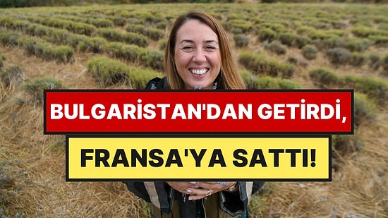 Bulgaristan'dan Getirip Çanakkale'de Ekti: İlk Hasatta Fransa Pazarına Açıldı