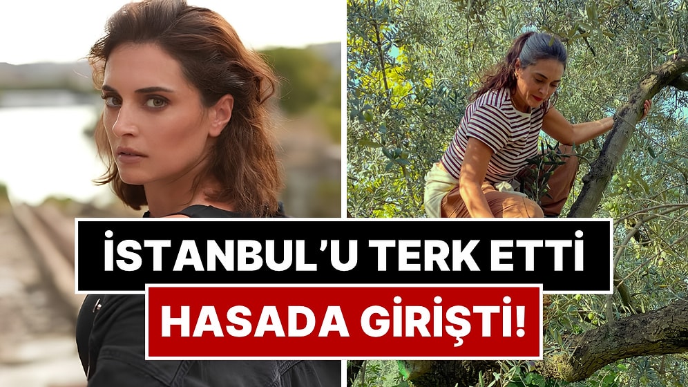 İstanbul'u Bırakıp Ayvalık'a Yerleşen Aslıhan Gürbüz Zeytin Hasadına Çıktı!