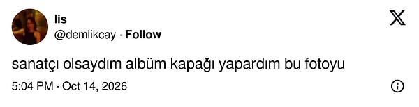 Karenin sanatsal değeri de gözden kaçmadı