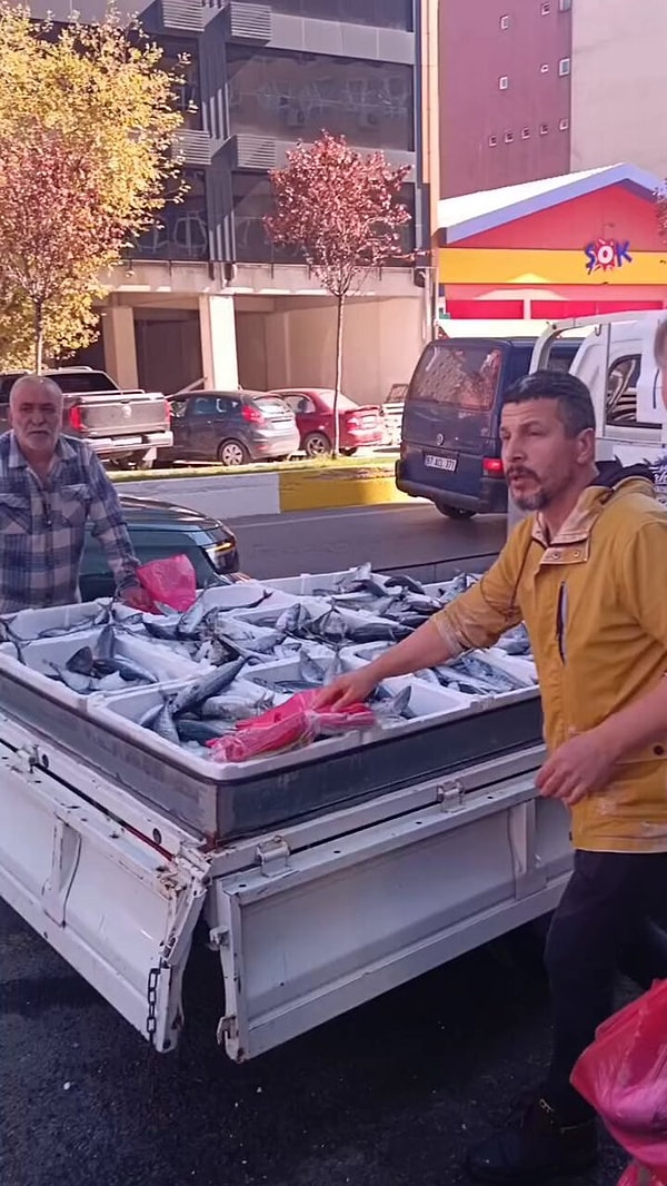 Palamut bolluğunu hayra çeviren balıkçıya sosyal medyadan teşekkür yağdı