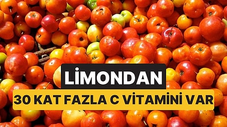 Limondan 60 Kata Kadar Fazla C Vitamini İçeriyor: Portakal Bahçelerinin Yerini Almaya Aday