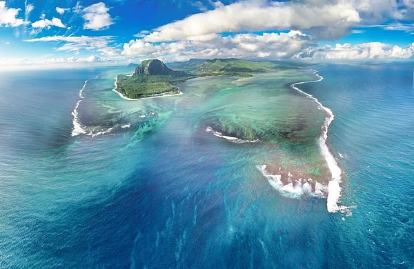 Şirket, dodoyu Mauritius'a geri döndürmeyi hedefliyor, ancak salınım alanları henüz belirlenmedi.