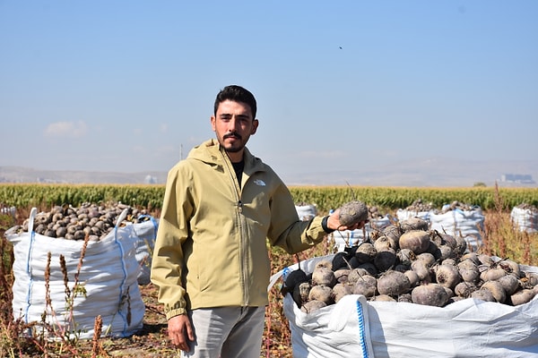 Afyonkarahisar’ın Türkiye’nin en önemli sebze üretim merkezlerinden biri olduğunu vurgulayan İl Tarım ve Orman Müdürü Özkan Parlak, kırmızı pancarın kentte hızla öne çıkan bir ürün haline geldiğini belirtti.