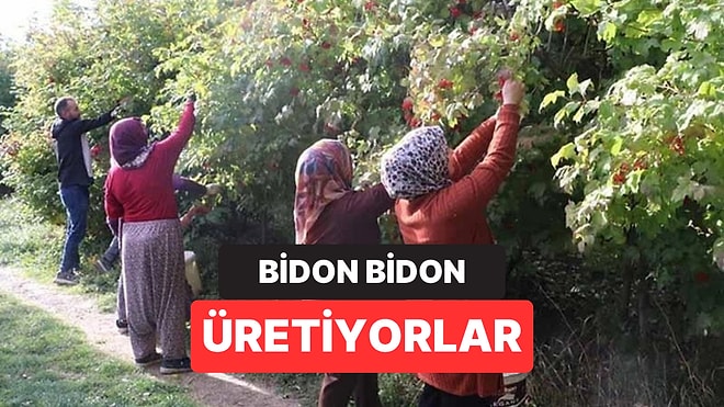 Kayserili Yeni Altınını Buldu: Bidonu 500 TL'den Satılıyor