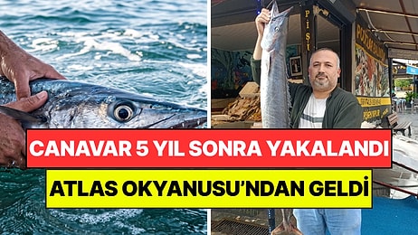 Atlas Okyanusu'nun Dev Canavarı 5 Yıl Sonra Yakalandı: Fırtına Getirmiş