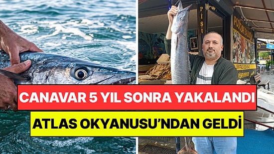 Atlas Okyanusu'nun Dev Canavarı 5 Yıl Sonra Yakalandı: Fırtına Getirmiş