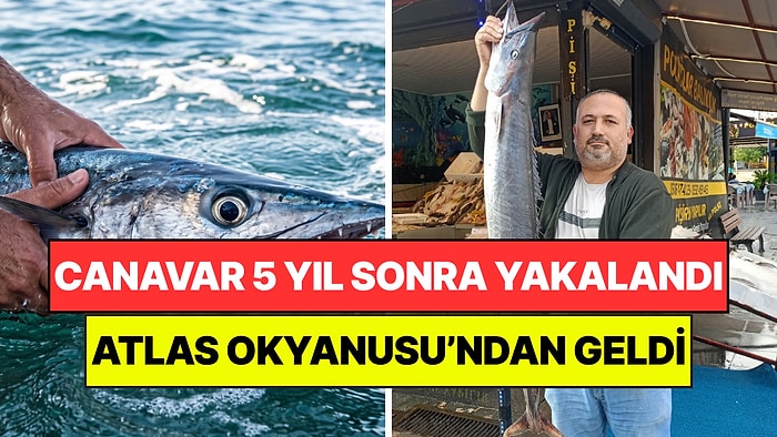 Atlas Okyanusu'nun Dev Canavarı 5 Yıl Sonra Yakalandı: Fırtına Getirmiş