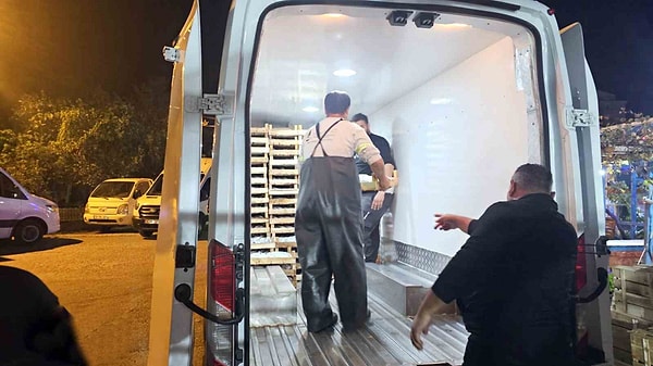 Bolluk tezgaha yansıdı, palamutun tanesi 40 liraya indi