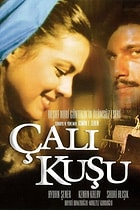 Çalıkuşu
